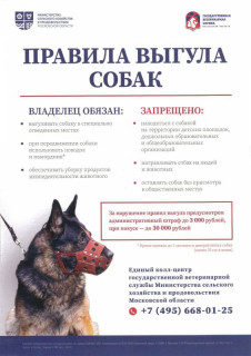 -_-