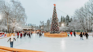 _2021-12-02_034428