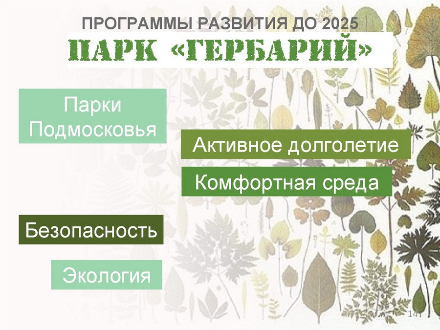Благоустройство лесопарка - ваши предложения