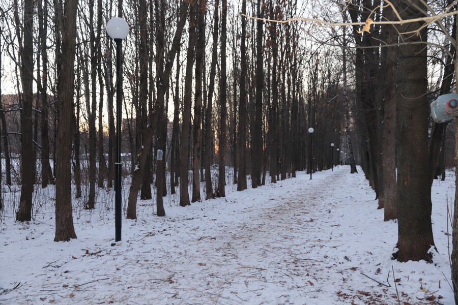 Погода