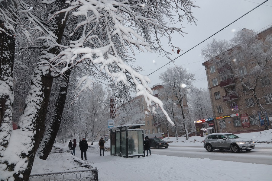 Фото дня