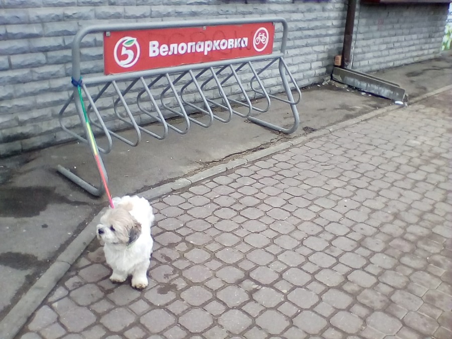 Фото дня