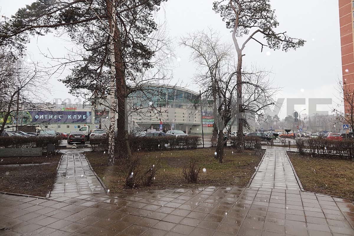 Фото дня